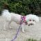 Ramona #479