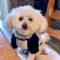 Finnegan #505